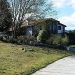Olazi